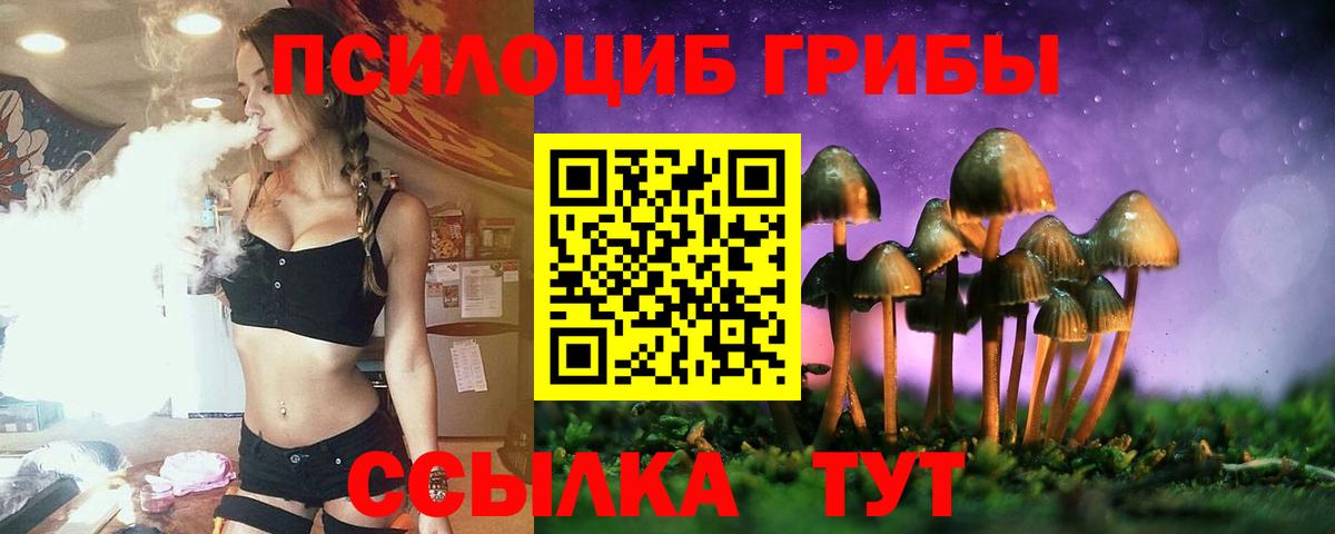Галлюциногенные грибы Cubensis  Вход с VPN  Нарткала  Псилоцибиновые грибы прущие грибы 